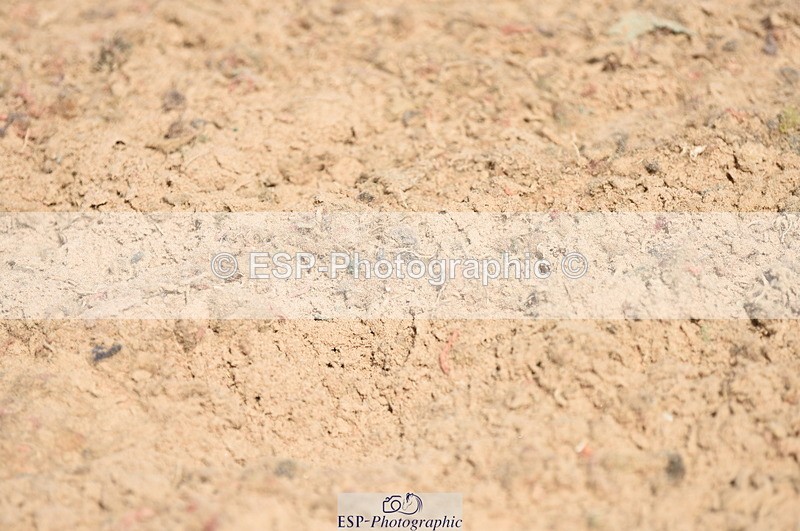 230906A-125016-00338 - Newcomers & 1.10m Open