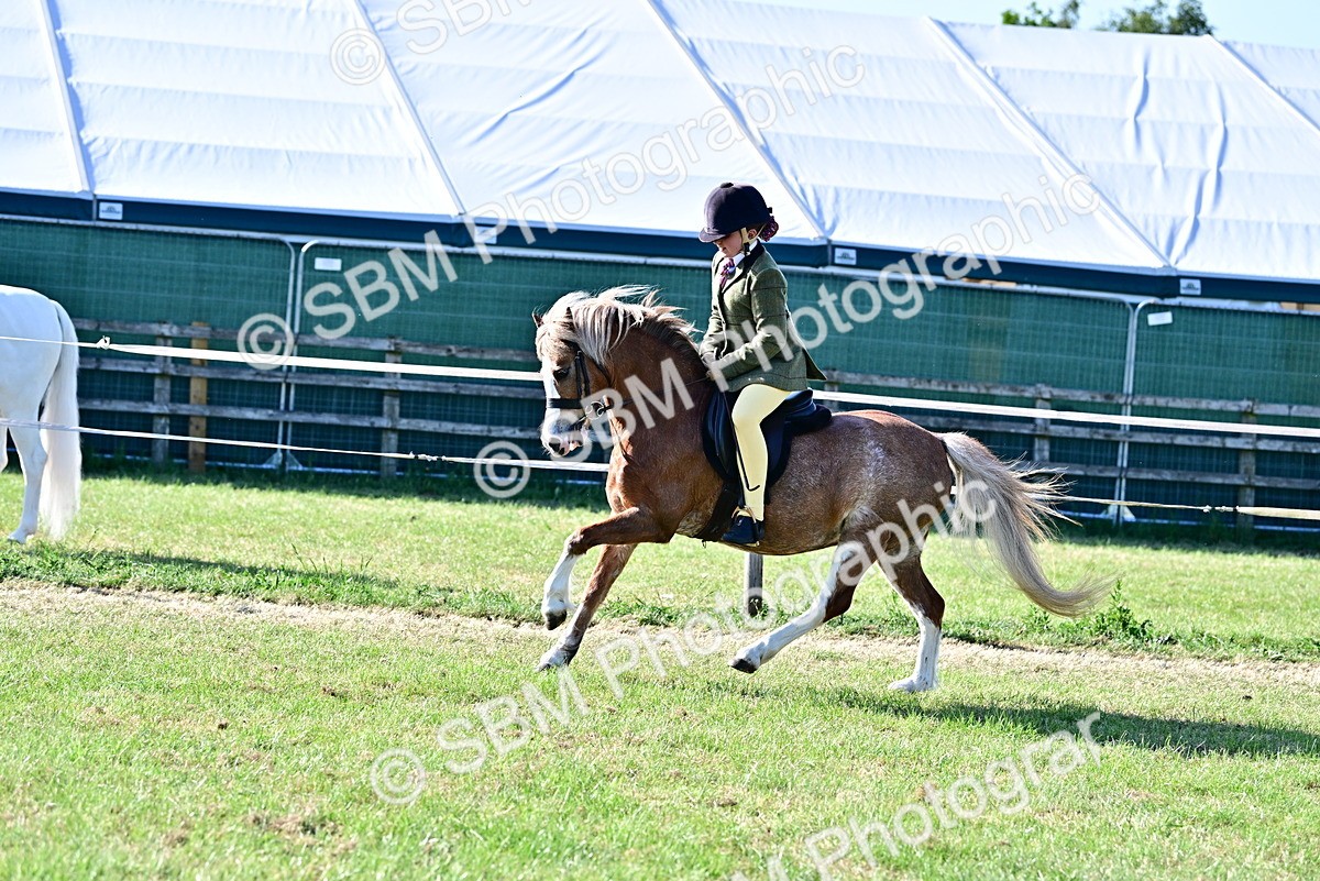 SBM_19859 - Class 103 - 105 - TSR Ridden Amateur of the Year Plaited Ponies