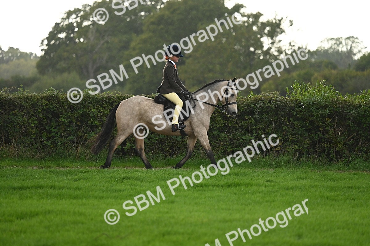 SBM_26586 - S7 - Novice & Newcomer Ridden Pony