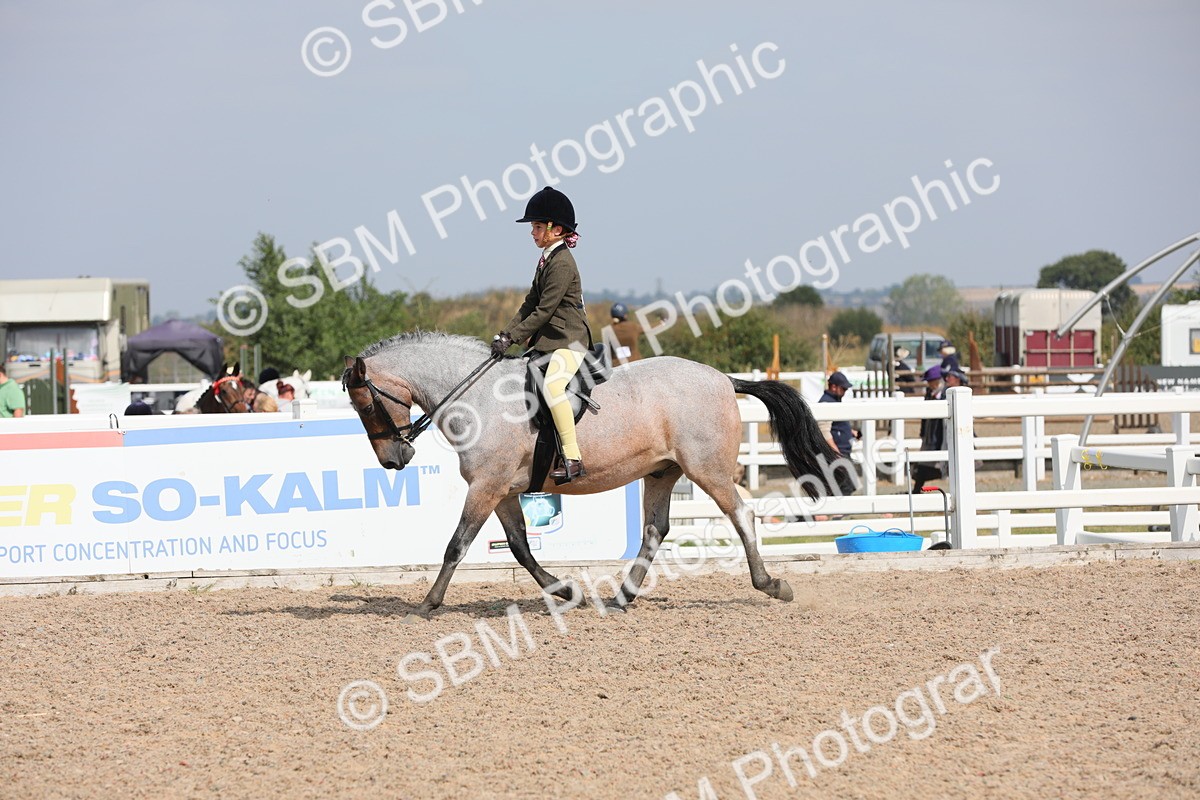 SBM_14724 - Class 310 First Ridden Pony
