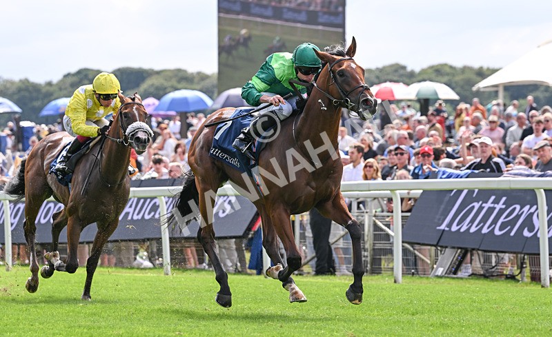 190826-041 Haffner - Race 2 14.25pm Tattersalls Acomb Stakes