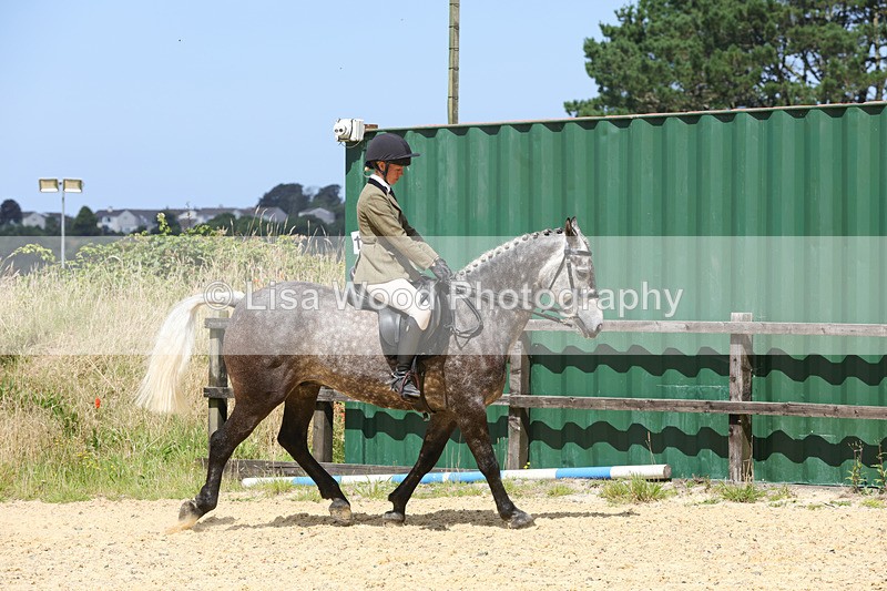 1X9A8780 - Class 19: Riding Club Horse