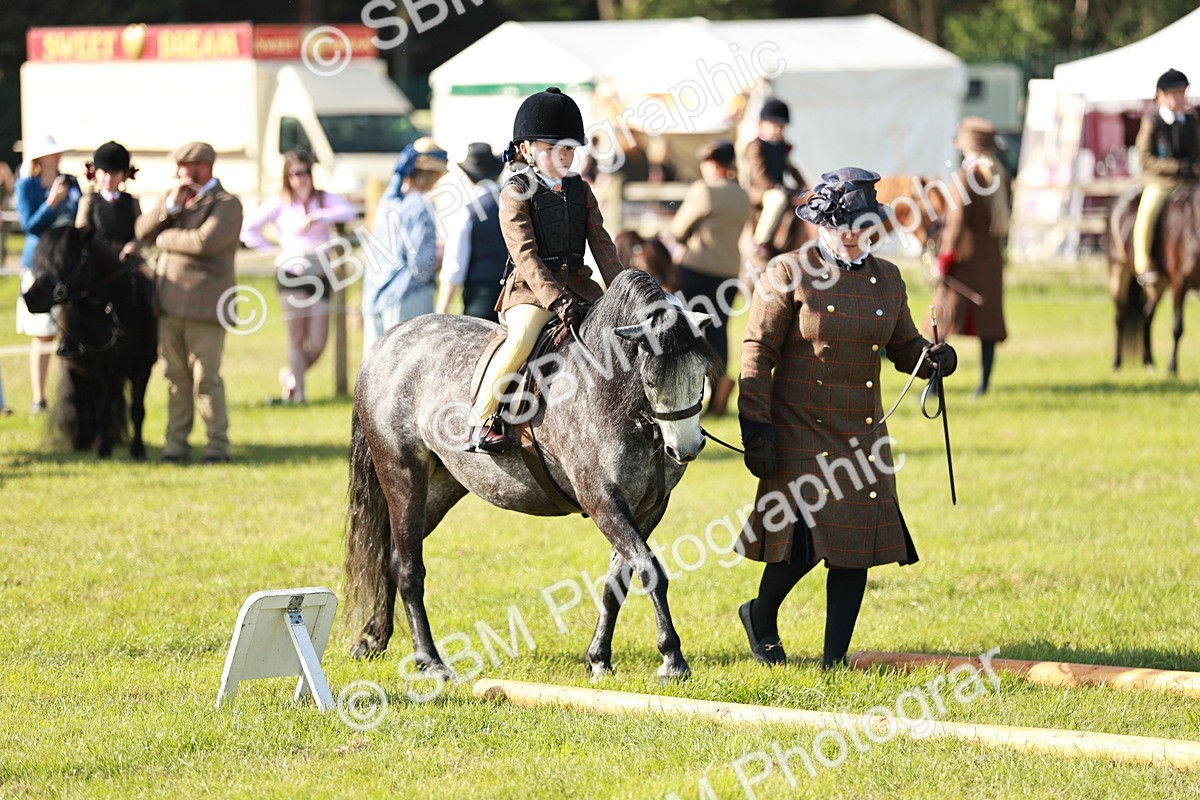 SBM_11218 - Class 106-107 - BSPS LIHS Working Sports Pony