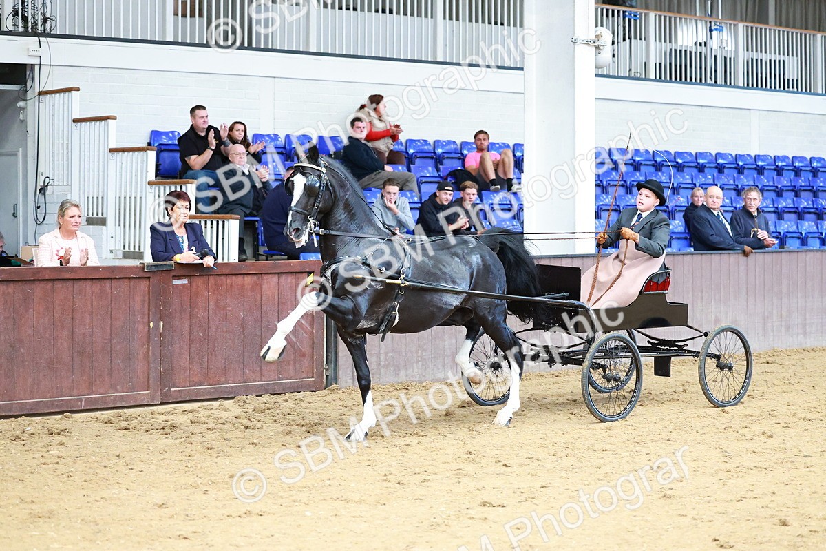 SBM_001024 - Class 13  - HHS Championship Intl Hackney Horse to a Show Wagon