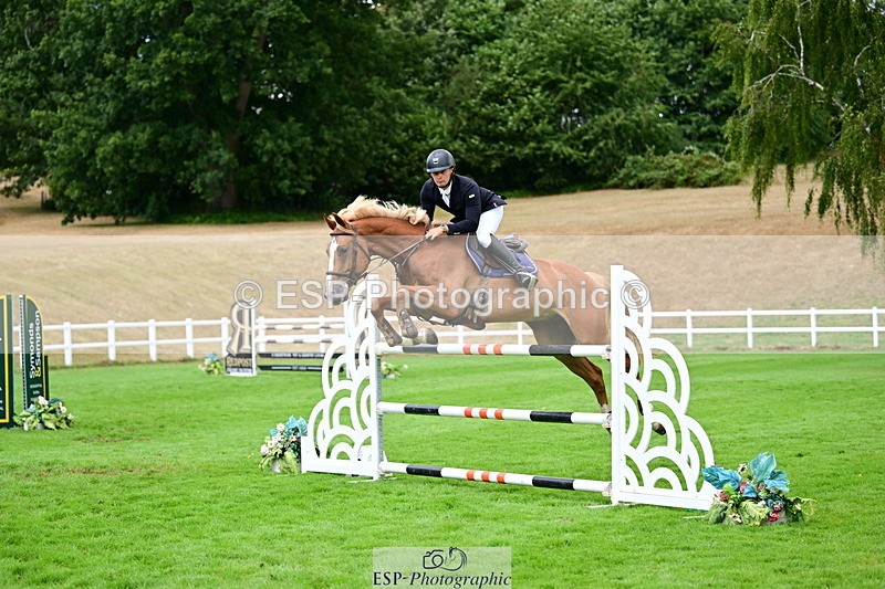 2026-08-21A-DSC_4078 - Cls 2 Snr Foxhunter