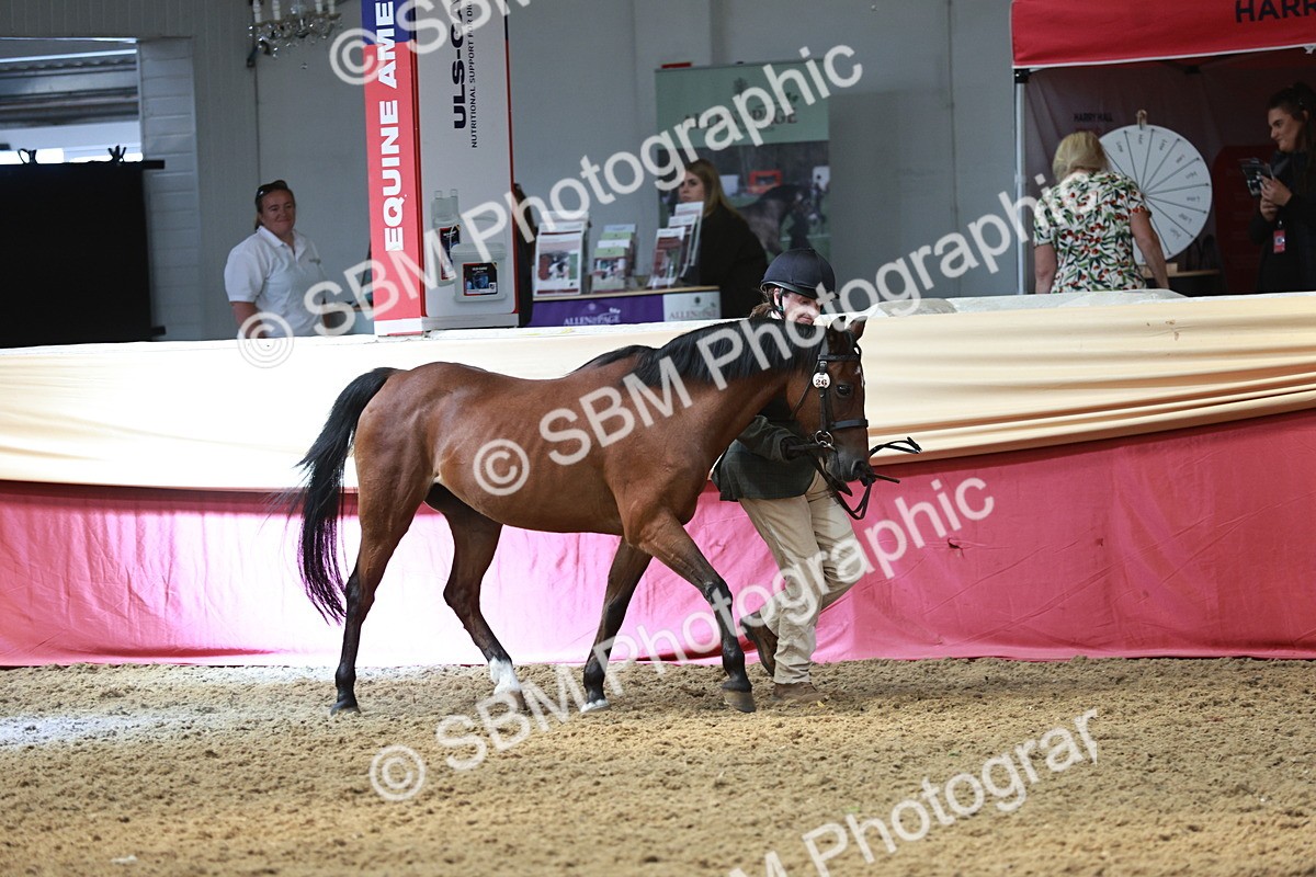 SBM_04761 - Class 7R - Regional IH Diamond