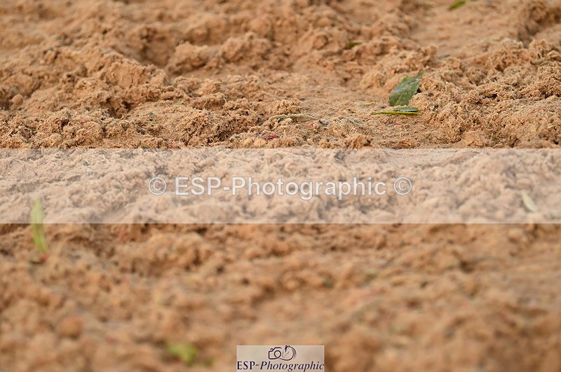 231104A-152016-02325 - Cls 14 Adv Medium 98