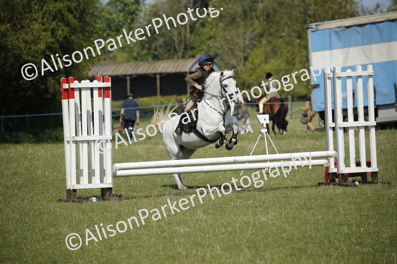 20250427-2205 - Class 13 - Novice Jumping 60cm