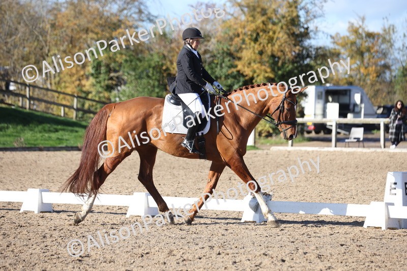 20251102-0946 - Class 5 - Elementary 5