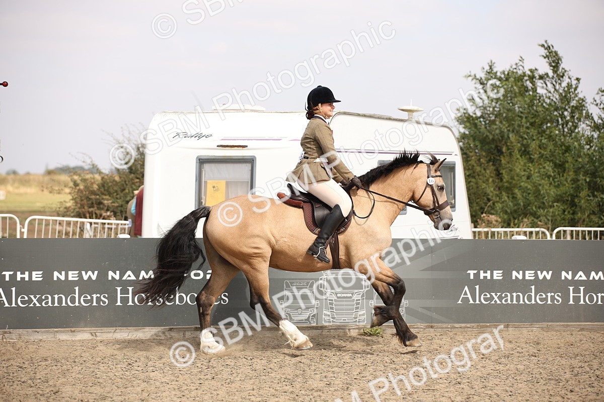 SBM_14248 - Class 407a - Working Veteran 60cm (15-19