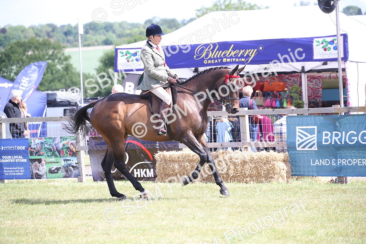 SBM_13343 - Class 95-96 - LIHS BSHA Rising Star Hack Riding Horse