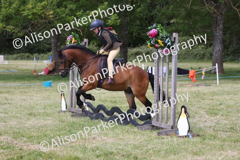 20260614-1823 - Class 21 - Novice Working Hunter Pony