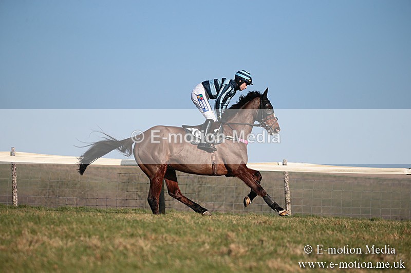 PtP 230219 405 - Vine & Craven Point-To-Point - Barbury 23/02/19