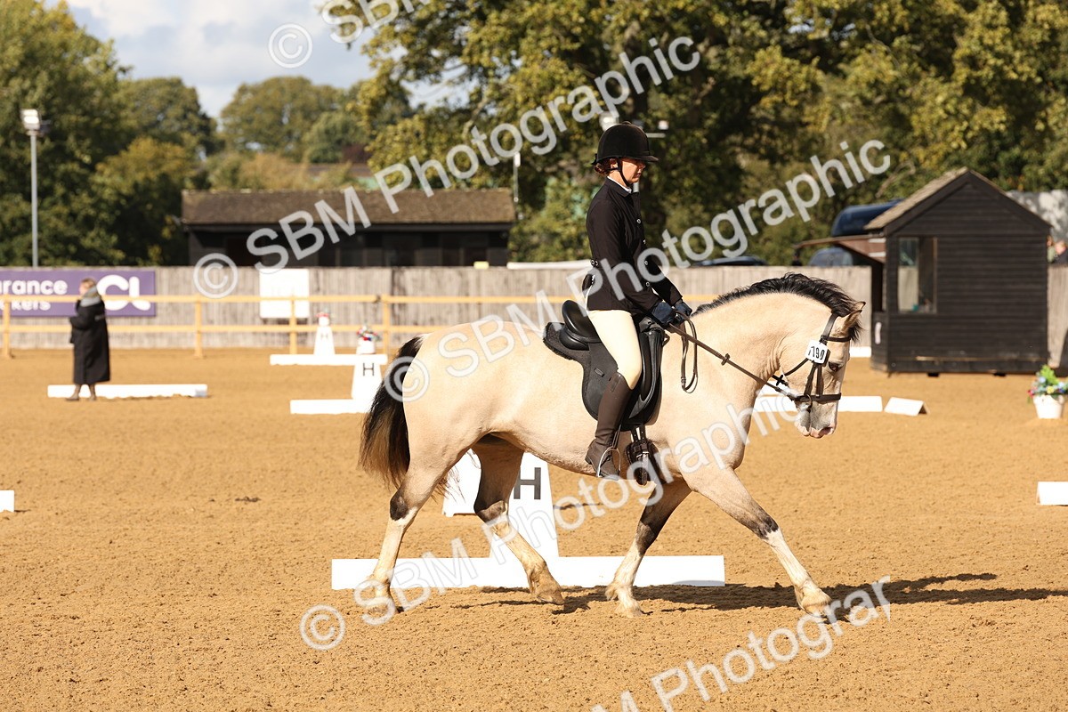 SBM_50392 - D12 - Small Tour Championship prelim 2