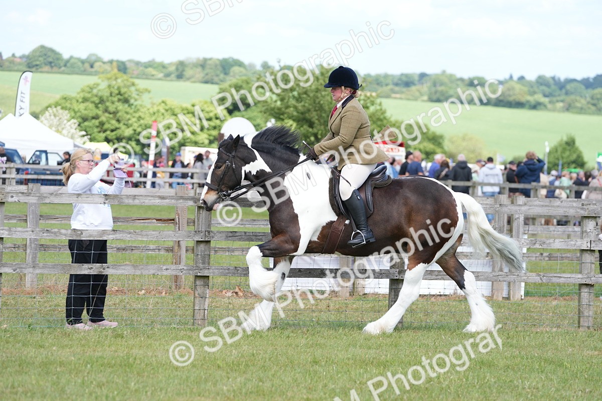 SBM_17157 - Class 107-108 - LIHS BSPS Performance Coloured Horse Pony