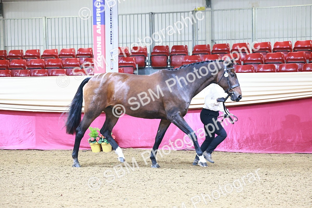 SBM_21654 - Class 901 - Supreme Final - IH  Diamond