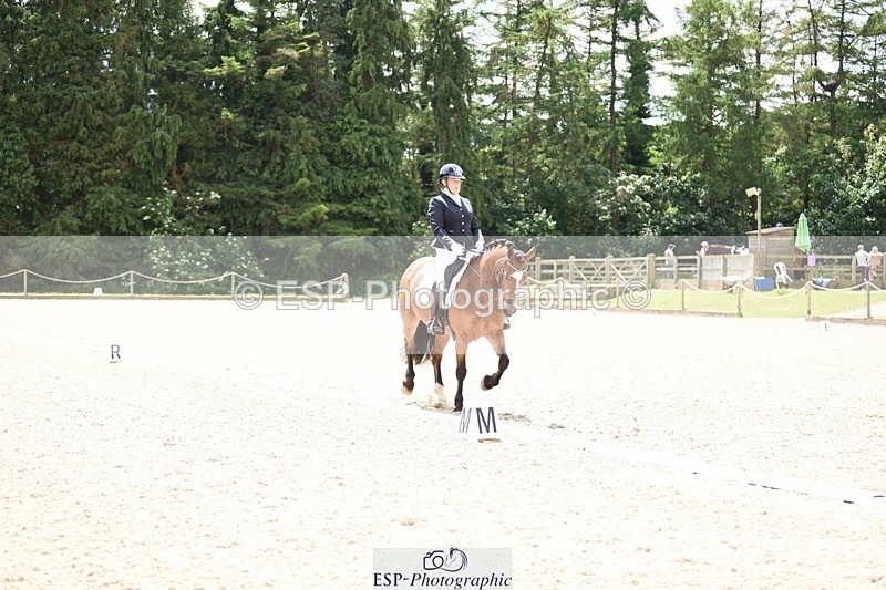 240605-131618-00996 - Cls 4 Novice 37 SQ