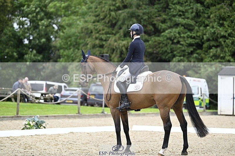 240523-145243-05130 - 442-FERNHILL_ZORO-Cassie_Sanger