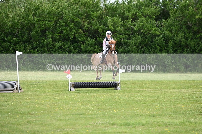 WJ6_2446 - Class 2 40cm