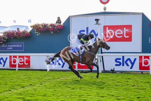 240824-Race 4-Magical Zoe-1667 - Race 4 3.35pm Sky Bet Ebor Handicap