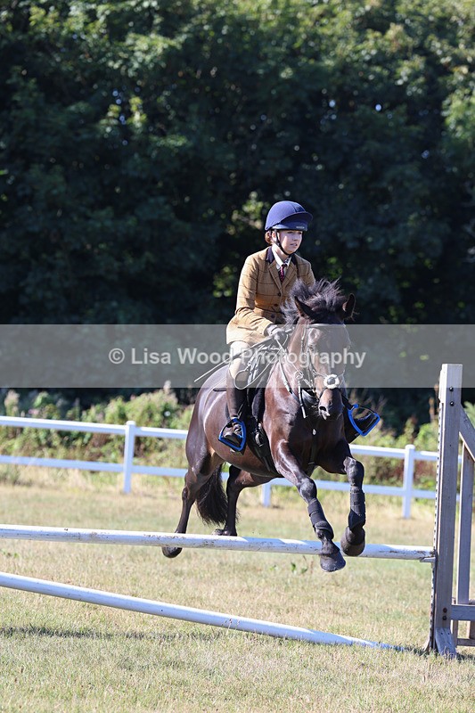 3E7A5476 - Class 3: Working Hunter 70cm