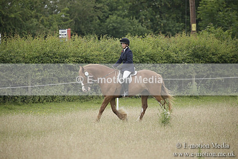 B230619-0302 - Bourne Valley Riding Club Summer Show 23/06/19