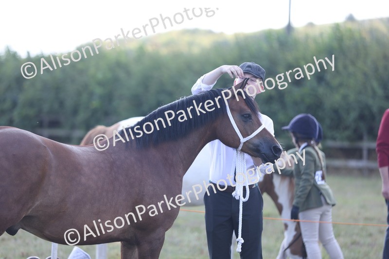 20250831-1636 - Class 22 - Mountain and Moorland Inhand