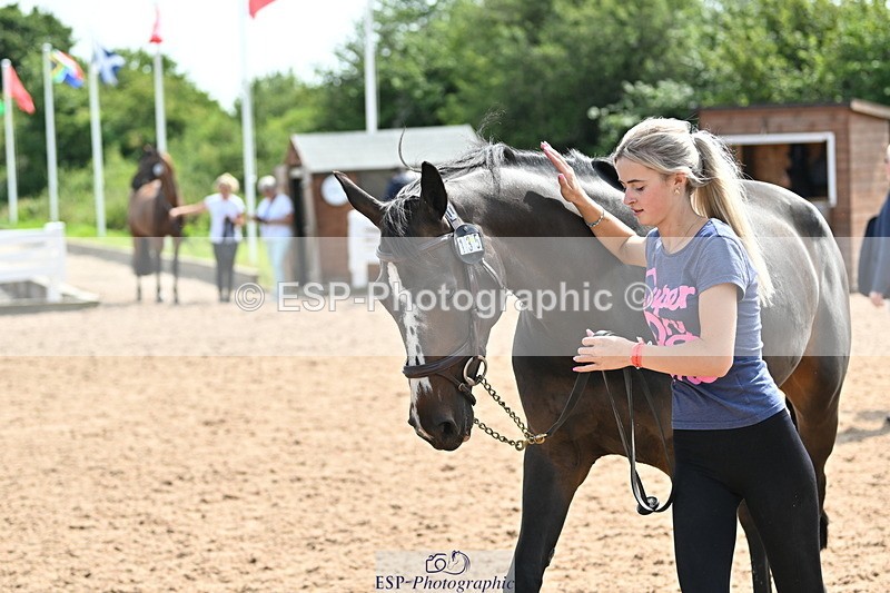 240717A-154229-02997 - Trot Up 3pm to 4pm