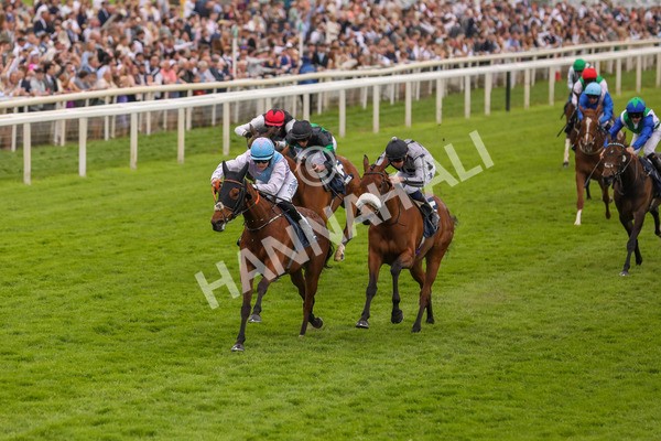 250524-Race 4-Term Of Endearment-3140 - Race 4 3.20pm William Hill Bronte Cup Fillies' Stakes