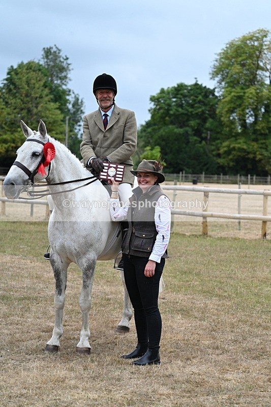 WJ7_1026 - Class 7 Riding Club Show Horse