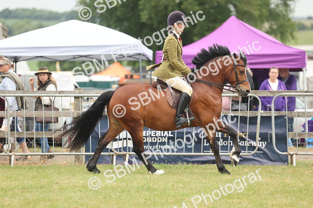 SBM_07186 - Class 76-77 - Ridden M&M Welsh Ponies