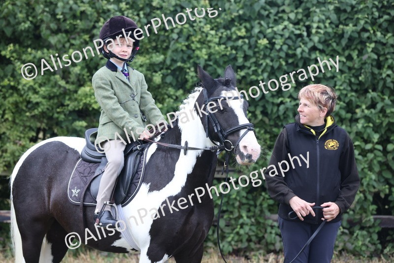 20250831-2409 - Class 16 - Family Pony