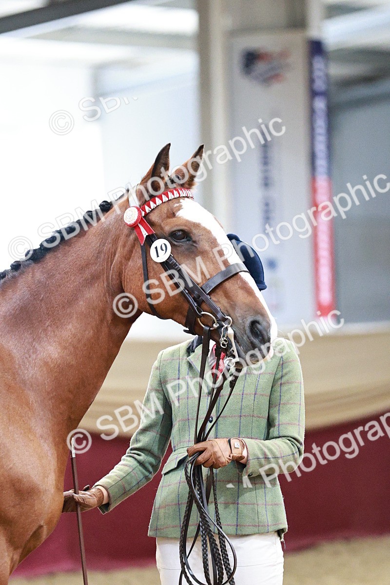 SBM_01284 - Class 3A - Area IH Pre-Vet