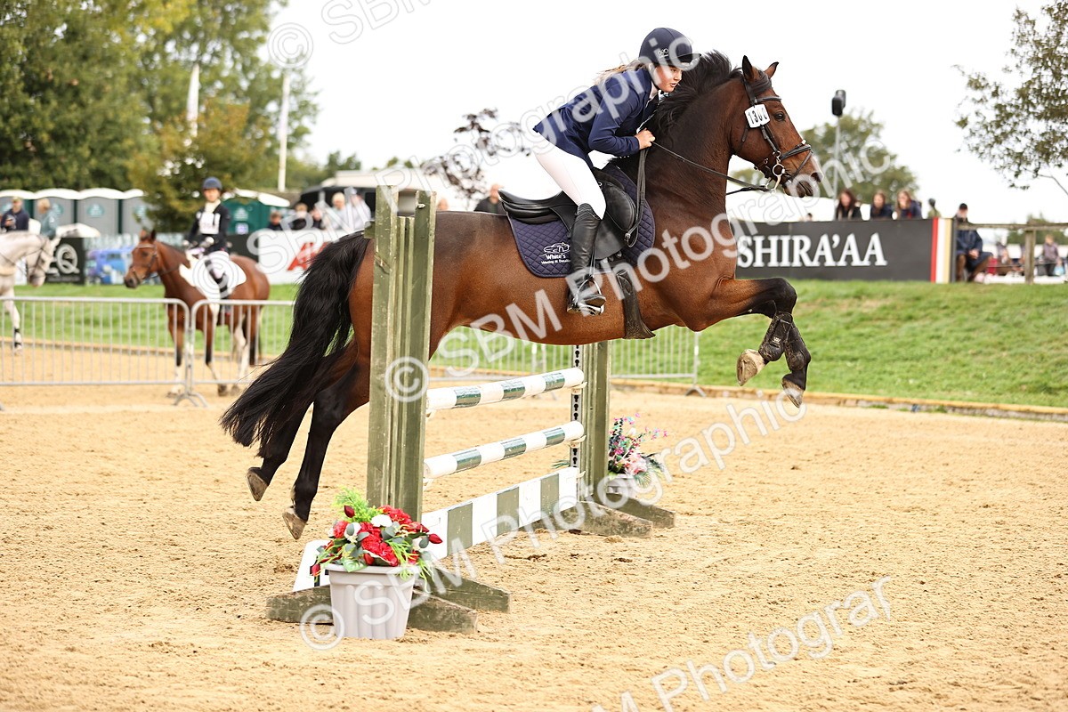 SBM_58513 - J41 - Grand Tour Horse & Pony 95cm