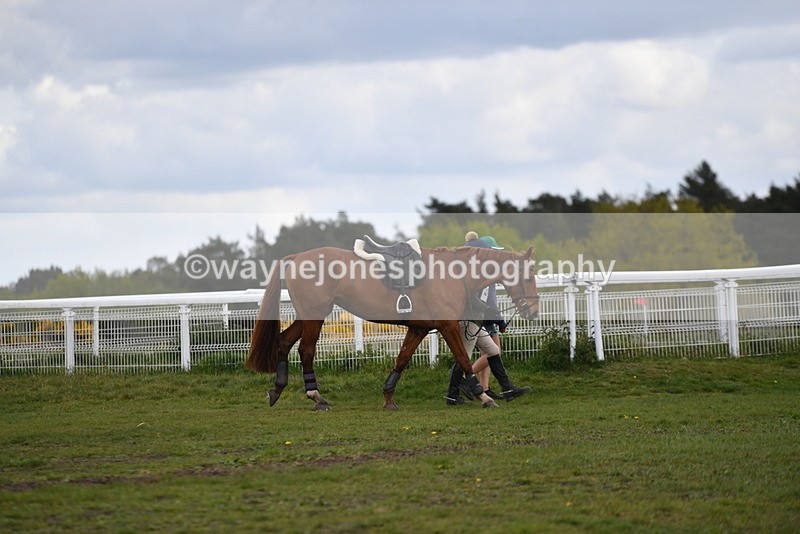 WJ5_2933 - Time 13:55 to 14:19