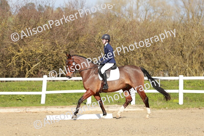 20260314-4414 - DR4 - Prelim 2