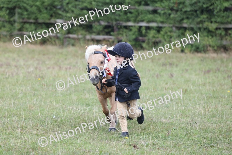 20250831-3083 - Inhand Championship