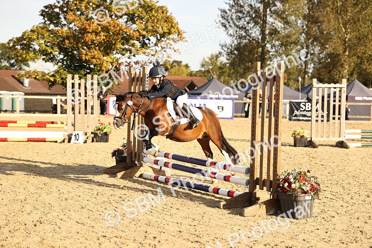SBM_59482 - J11 - Junior Pony 50cm Championship