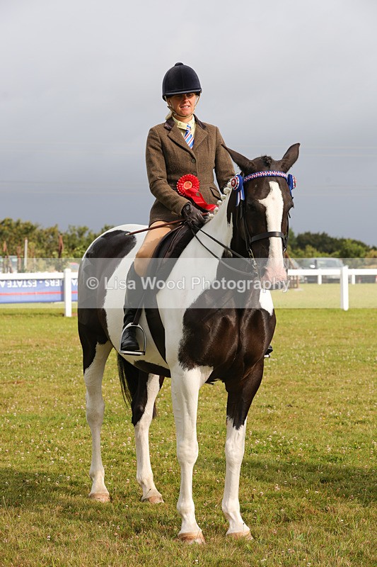 1X9A2949 - Class 25: Ridden Plaited Coloured Horse