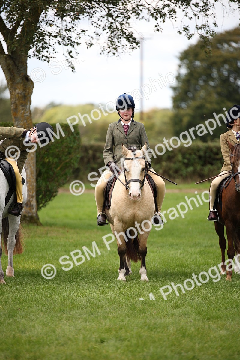 SBM_42357 - S13 - Pony Club Pony