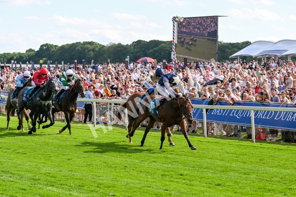280625-Race 6-Dream Out Loud-0961 - Race 6 4.50pm Al Basti Equiworld Dubai Sprint Handicap