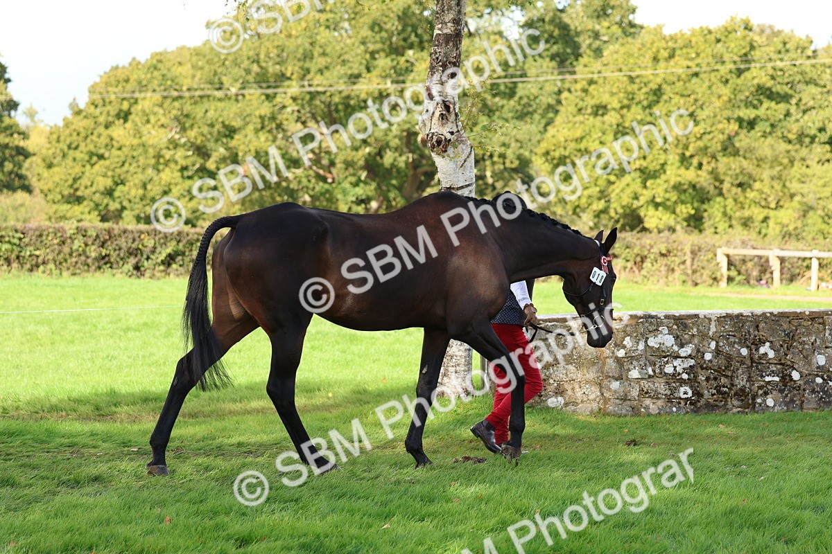 SBM_39386 - S24 - Young Veteran In Hand