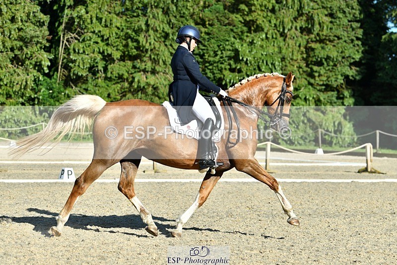 230623-181133-03180 - Cls 11 FEI PSG