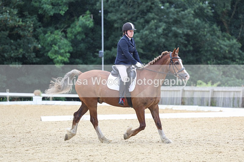 3E7A4766 - Class 1: Intro 4 2024 section A