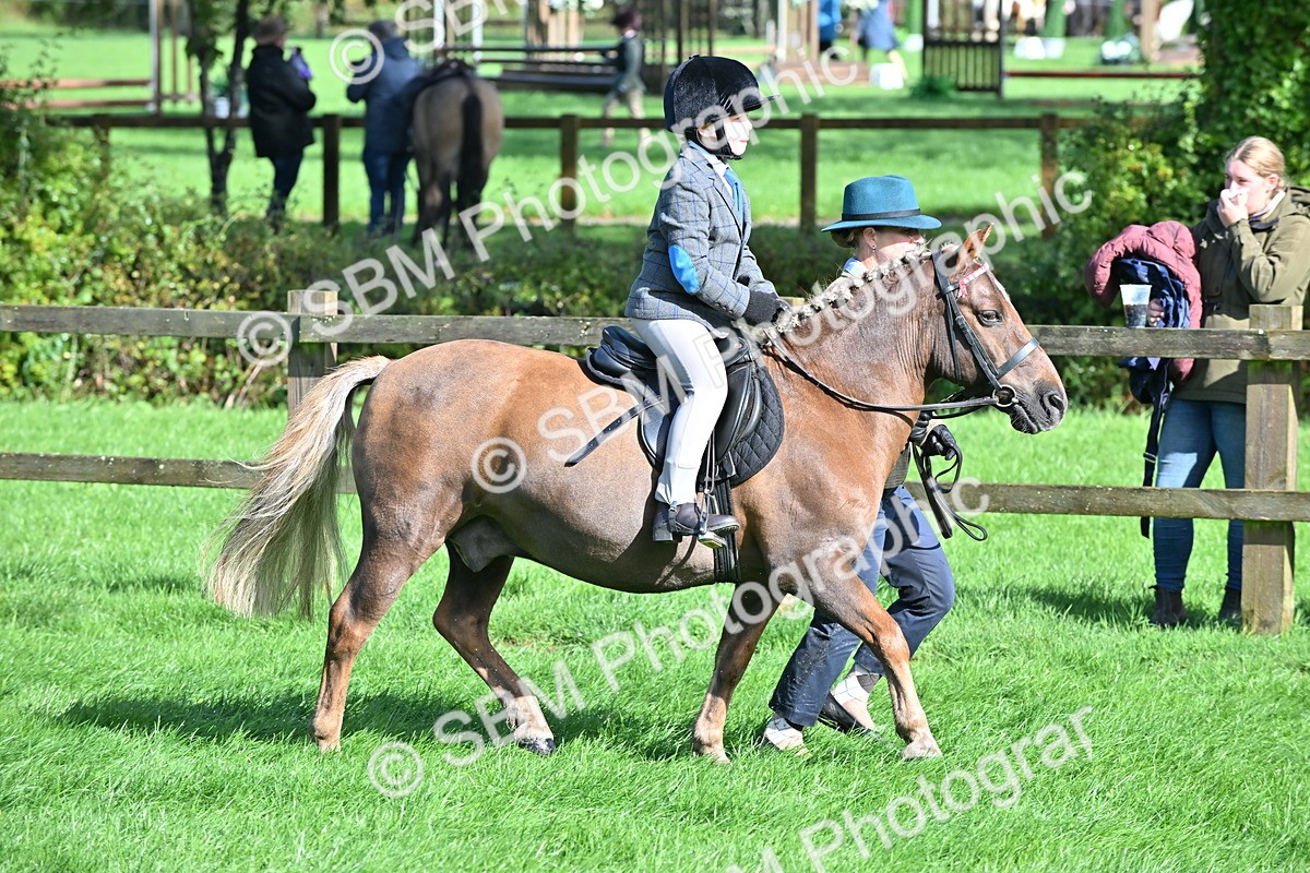 SBM_37423 - S18 - Novice & Newcomer Lead Rein Pony