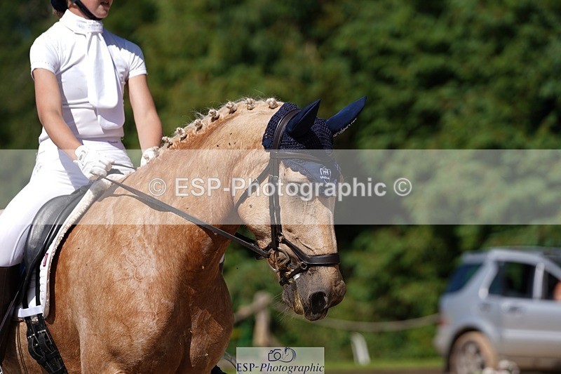 240719-154540-02751 - 103-Elissa_Franks-Golden_queen