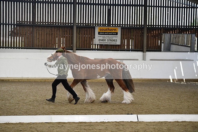 WJ5_5390 - Class 8 In hand cob