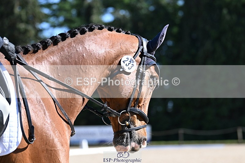 250522A-162424-04944 - C-233-Abbie.Burbidge-FEELING.FANTASTIC