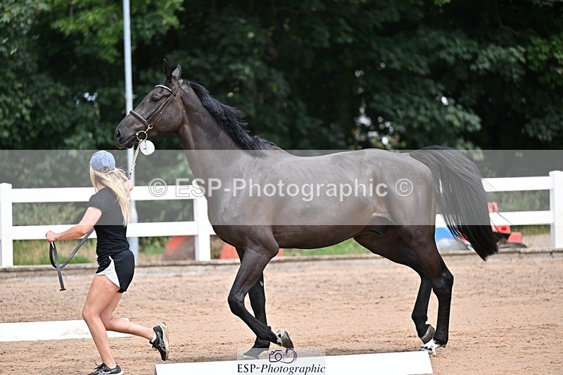 250716-130538-00323 - Trot Up 12.30 to 1.30
