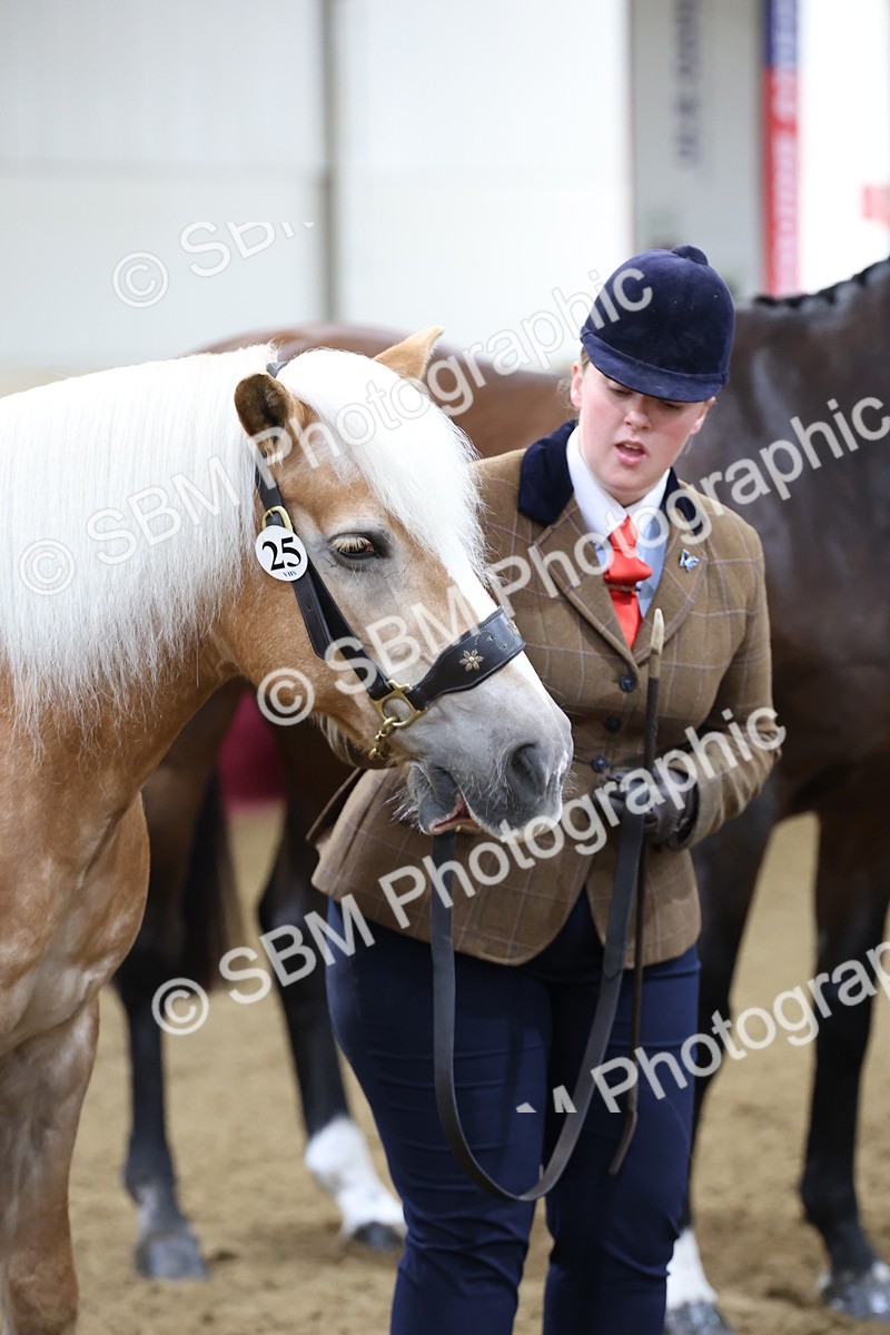 SBM_21839 - Class 901 - Supreme Final - IH  Diamond